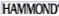 Robert Manzitti is endorsed by Hammond Organs